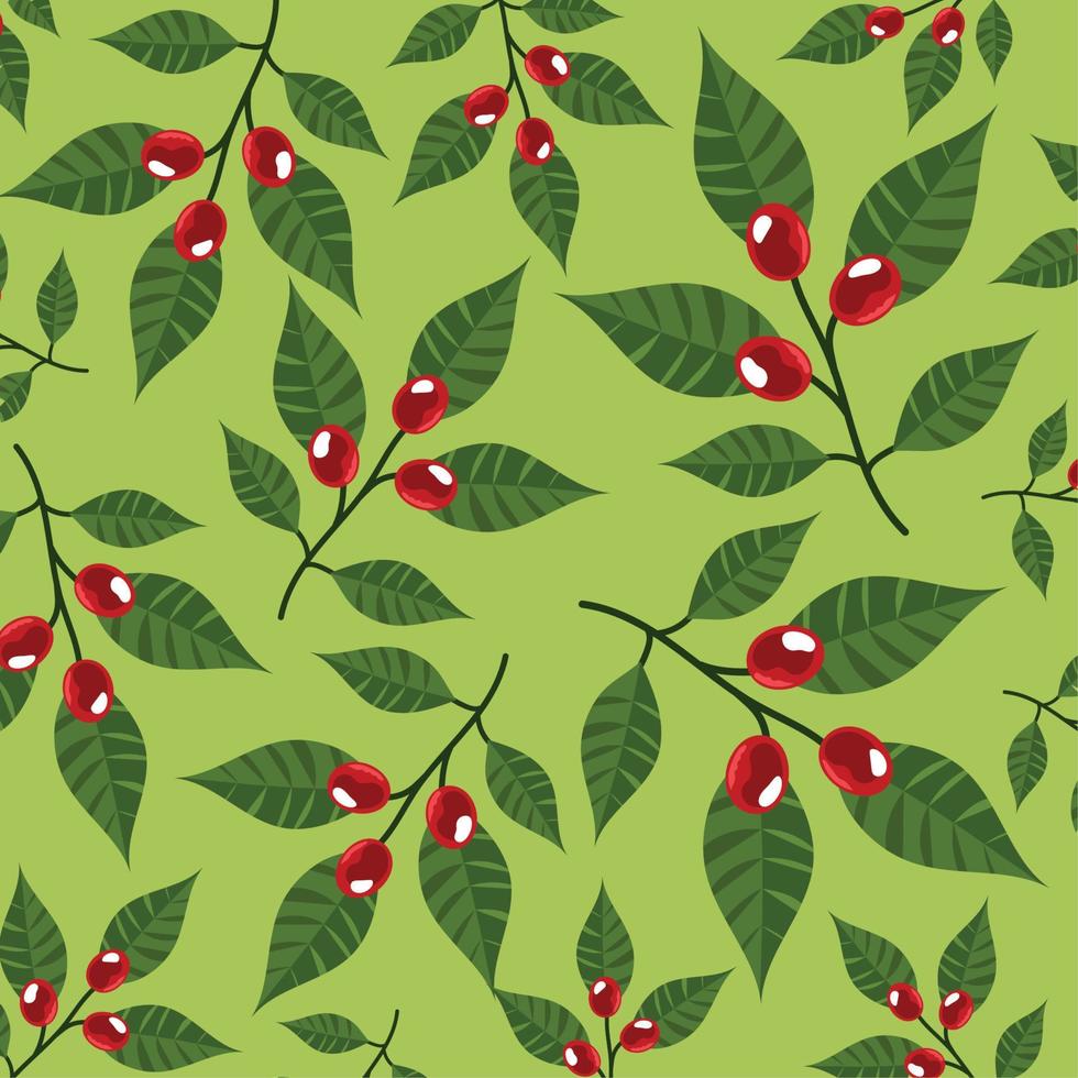 coffee plants and grains pattern vector