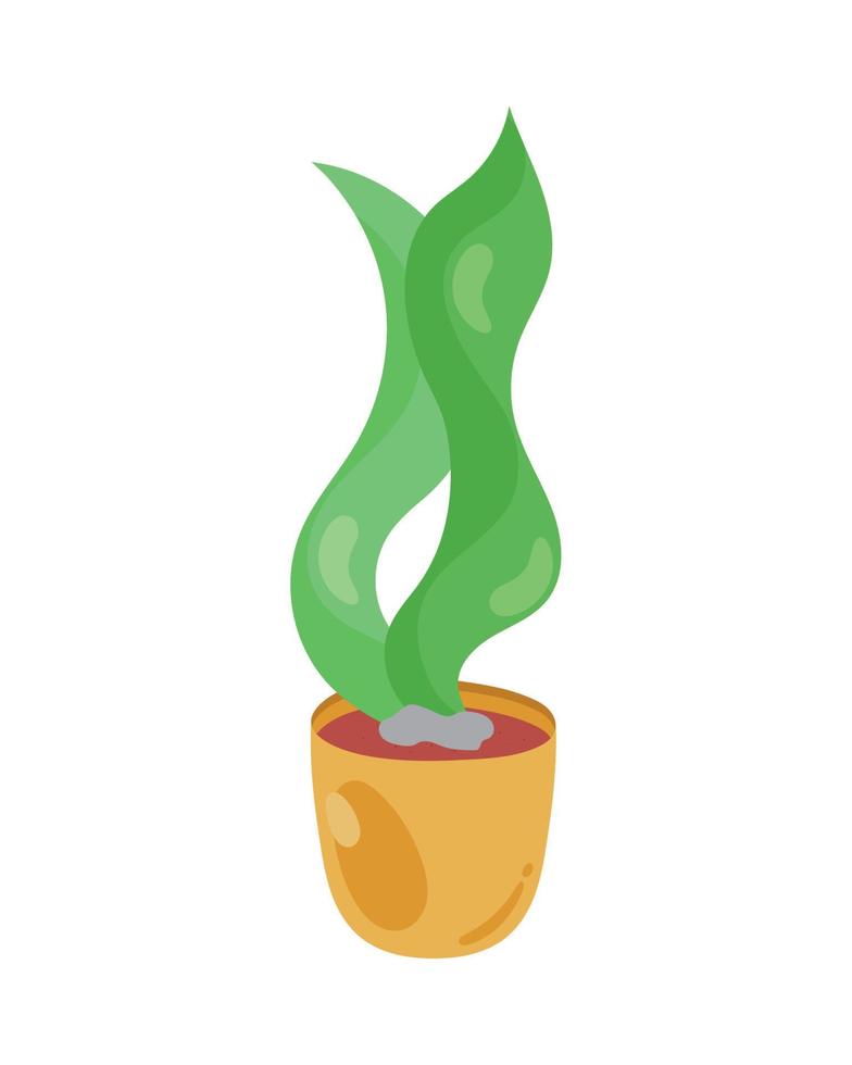 houseplant with green leaves vector