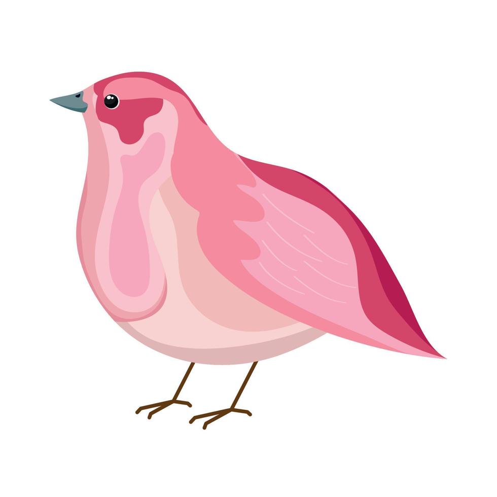 pájaro exótico rosa vector