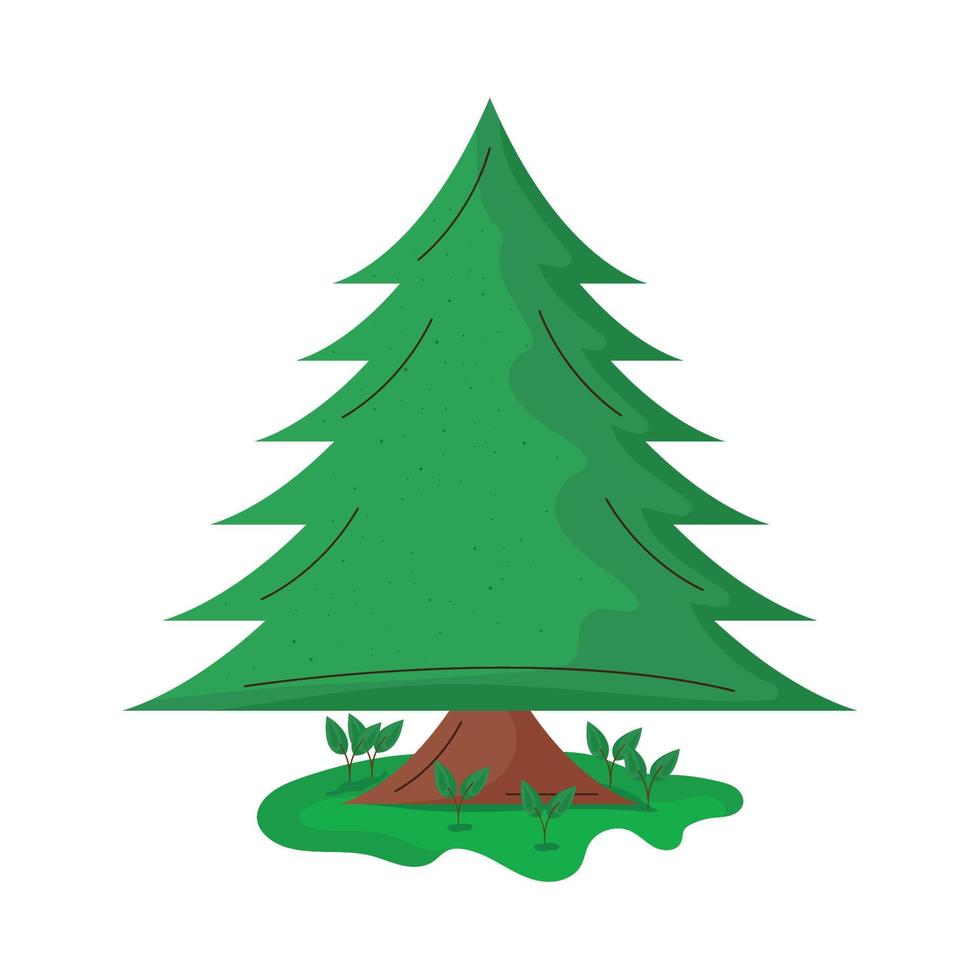 pine tree pot vector