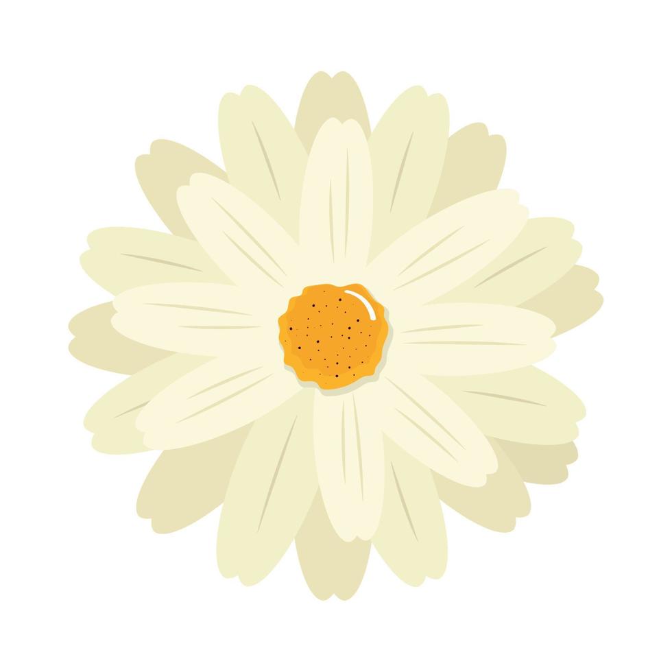 white flower garden vector