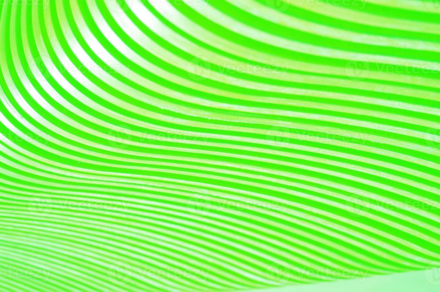 Abstract background and beautiful texture of bright green curved slats. photo