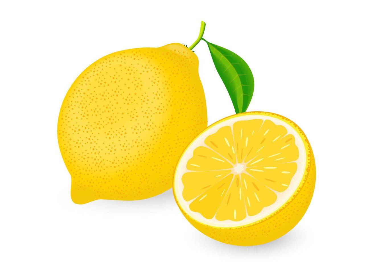 fruta de limón amarillo que se ve tan fresca vector