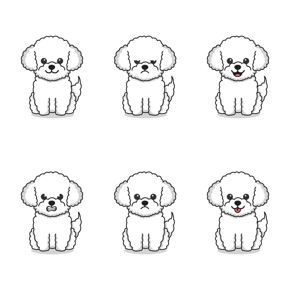conjunto de perros caniche con diferentes expresiones vector