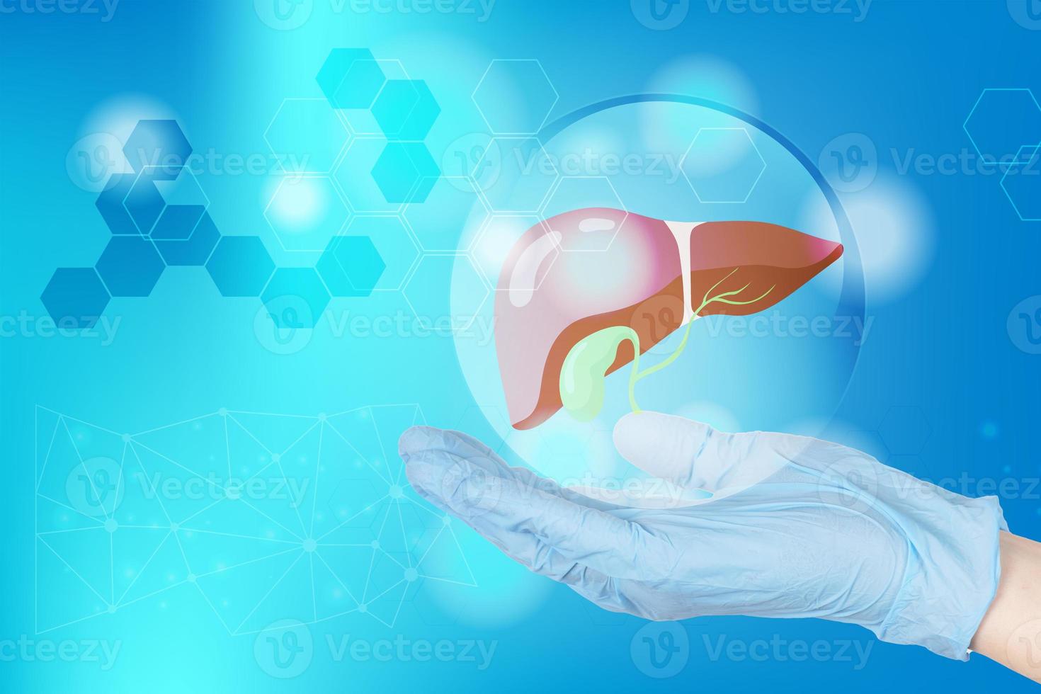 The doctor's hand in a glove holds the anatomical shape of the liver of a healthy person, symbolizing diagnosis, treatment, care and protection. Medical poster. photo