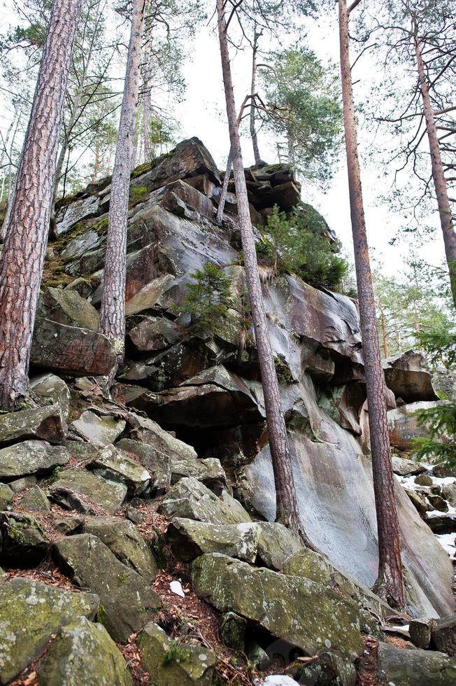 rocas dovbush en el bosque verde en las montañas de los cárpatos. foto