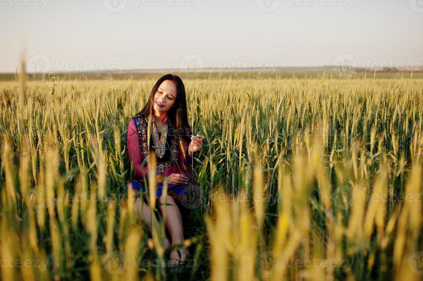 Tender indian girl in saree, with violet lips make up posed at field in sunset. Fashionable india model. photo