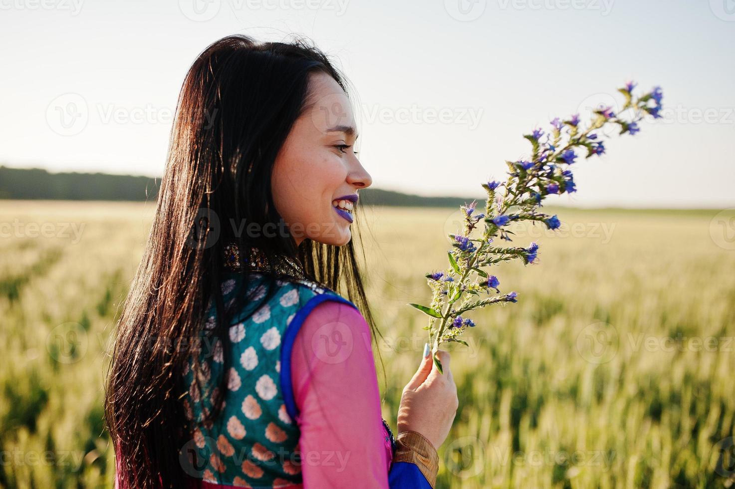 Tender indian girl in saree, with violet lips make up posed at field in sunset. Fashionable india model. photo