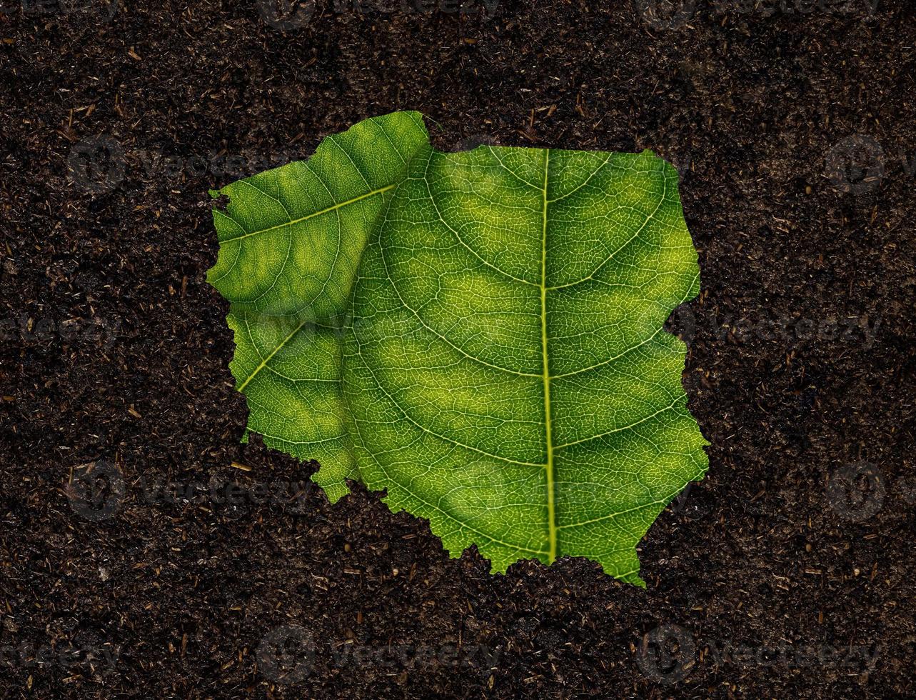 Poland map made of green leaves on soil background ecology concept photo