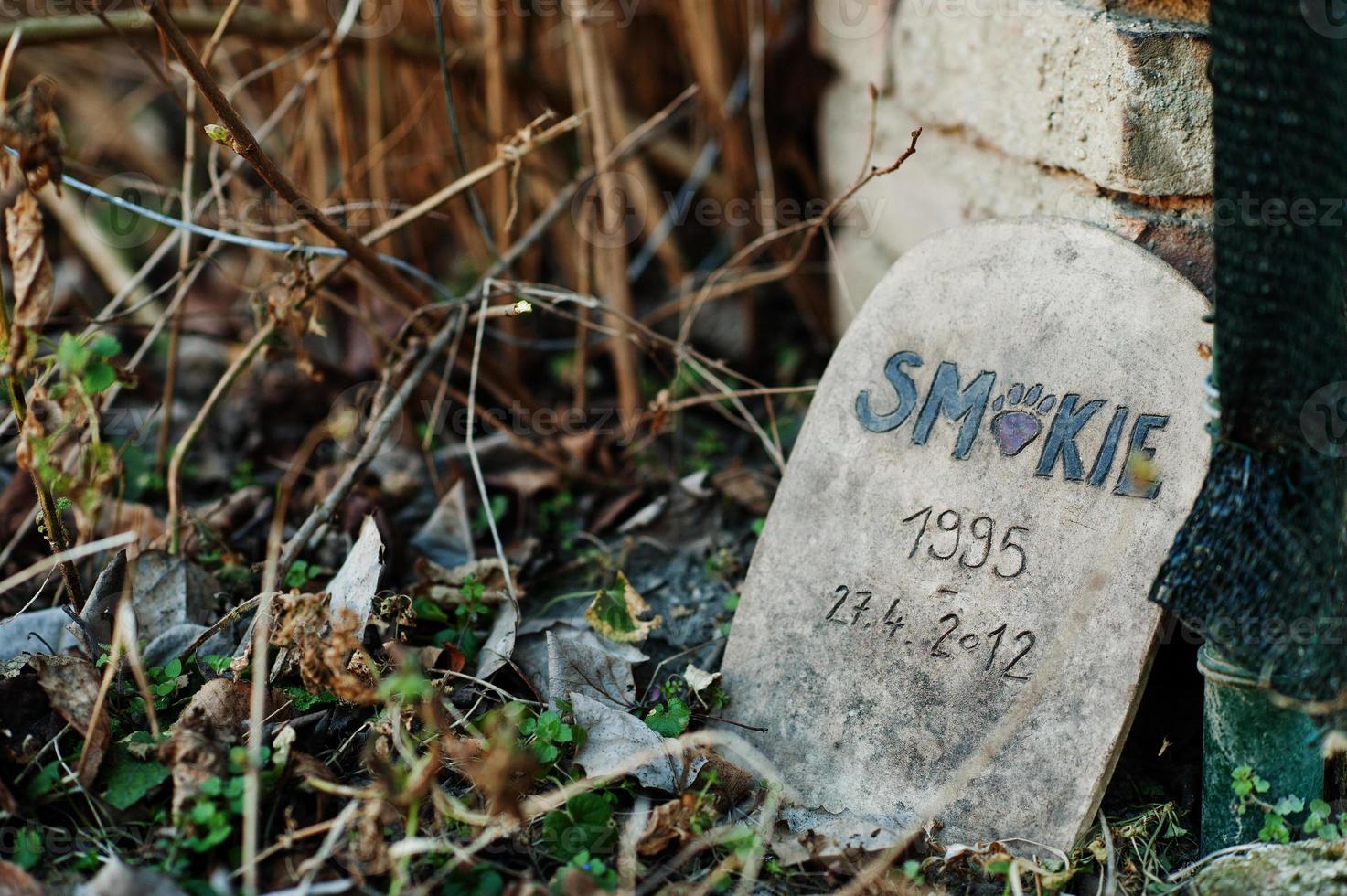 Pet cemetery. Dog's tombstone. Grave. photo