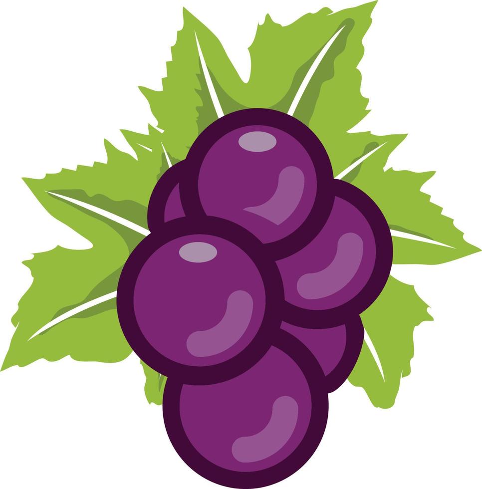 Bunch of grapes with leafs vector