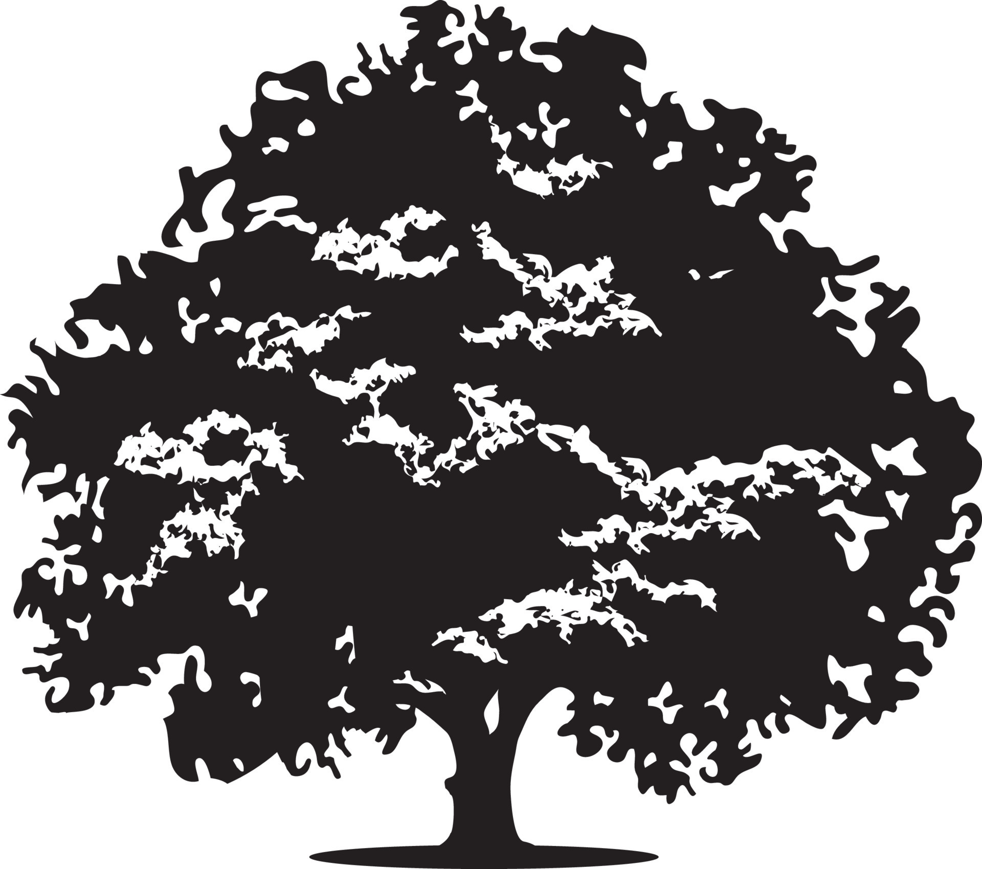 Oak tree with massive canopy black and white 10493359 Vector Art at