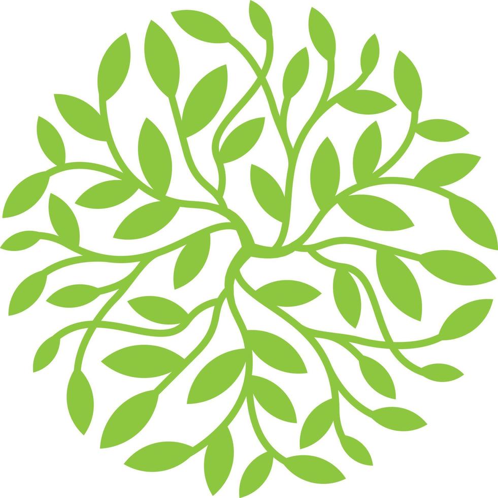 A symmetrical leaves forming circle vector