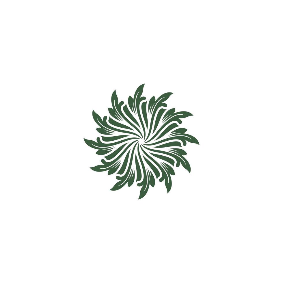 unique leaf illustration that symbolizes nature on a white background vector