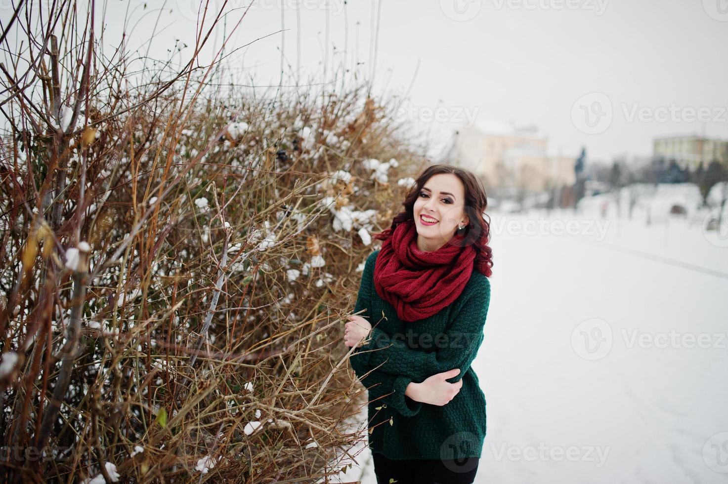 Brunette girl in green sweater and red scarf outdoor against bushes on evening winter day. photo