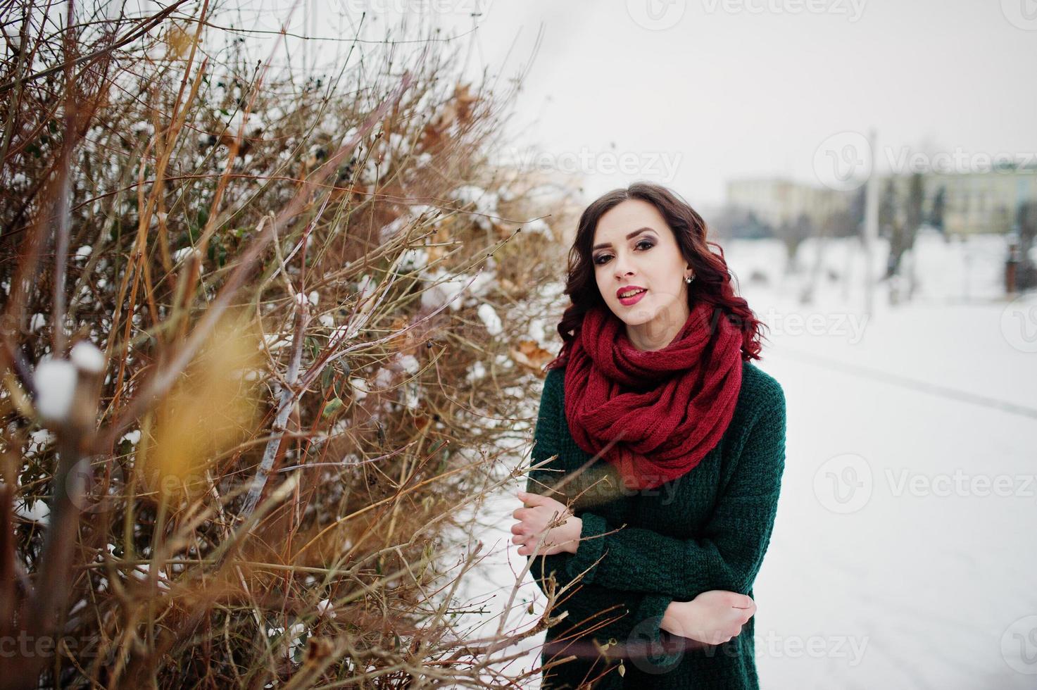 Brunette girl in green sweater and red scarf outdoor against bushes on evening winter day. photo