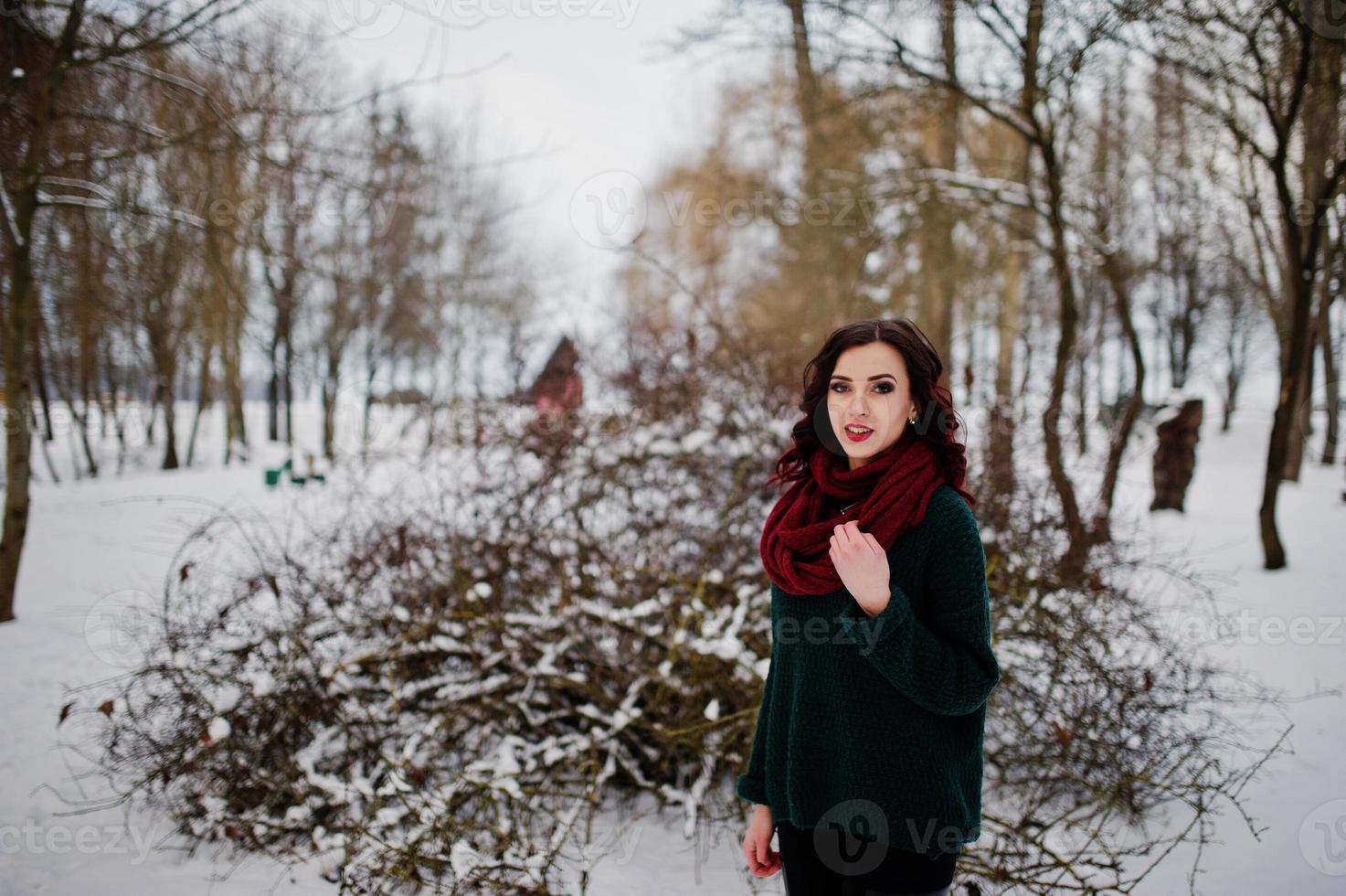 Brunette girl in green sweater and red scarf outdoor on evening winter day. photo