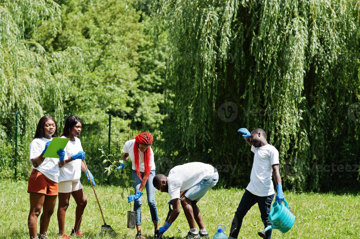 Group of happy african volunteers planting tree in park. Africa volunteering, charity, people and ecology concept. photo