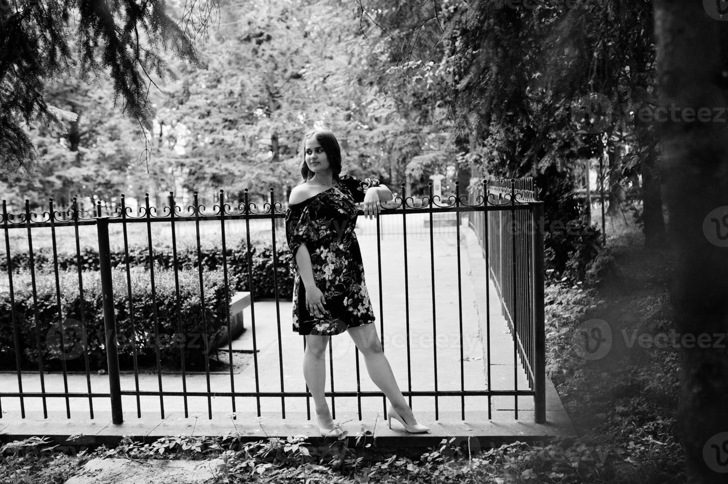 Portrait of a girl in a dress posing by the fence. photo