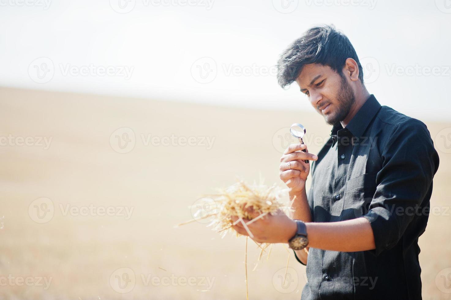 South asian agronomist farmer inspecting wheat field farm. Agriculture production concept. photo