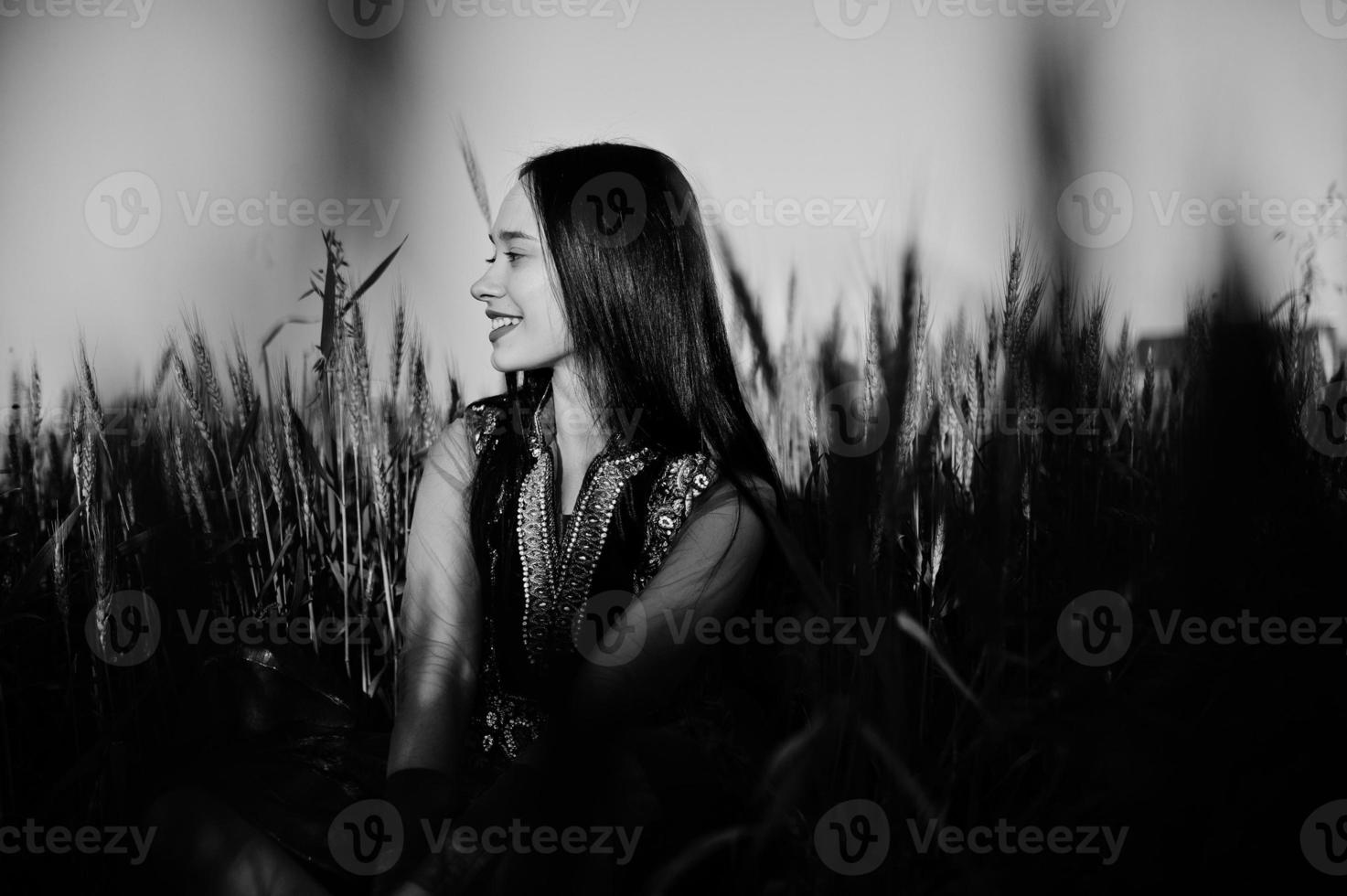 Tender indian girl in saree, with violet lips make up posed at field in sunset. Fashionable india model. photo