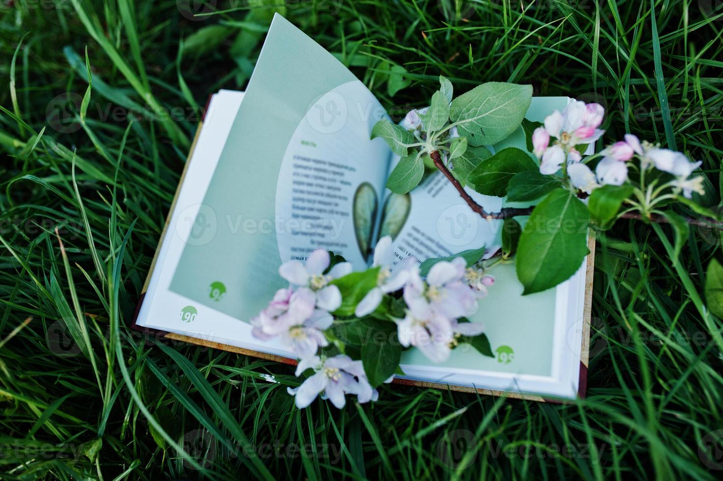 Pages of book with branches of blossom tree at green grass. photo