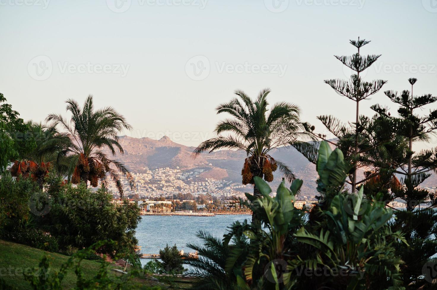 Beautiful tropical sea bay with palms. Scenic landscape with mountain buildings afar on Aegean sea. Exotic scenery. Popular landmark, famous destination of Bodrum, Turkey. photo