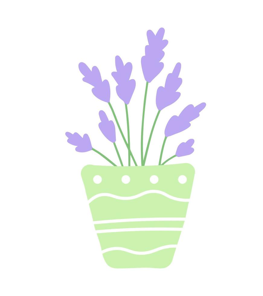 Lavender flower in flowerpot isolated icon. Simple doodle hand drawn vector botanical illustration. Beautiful house plant