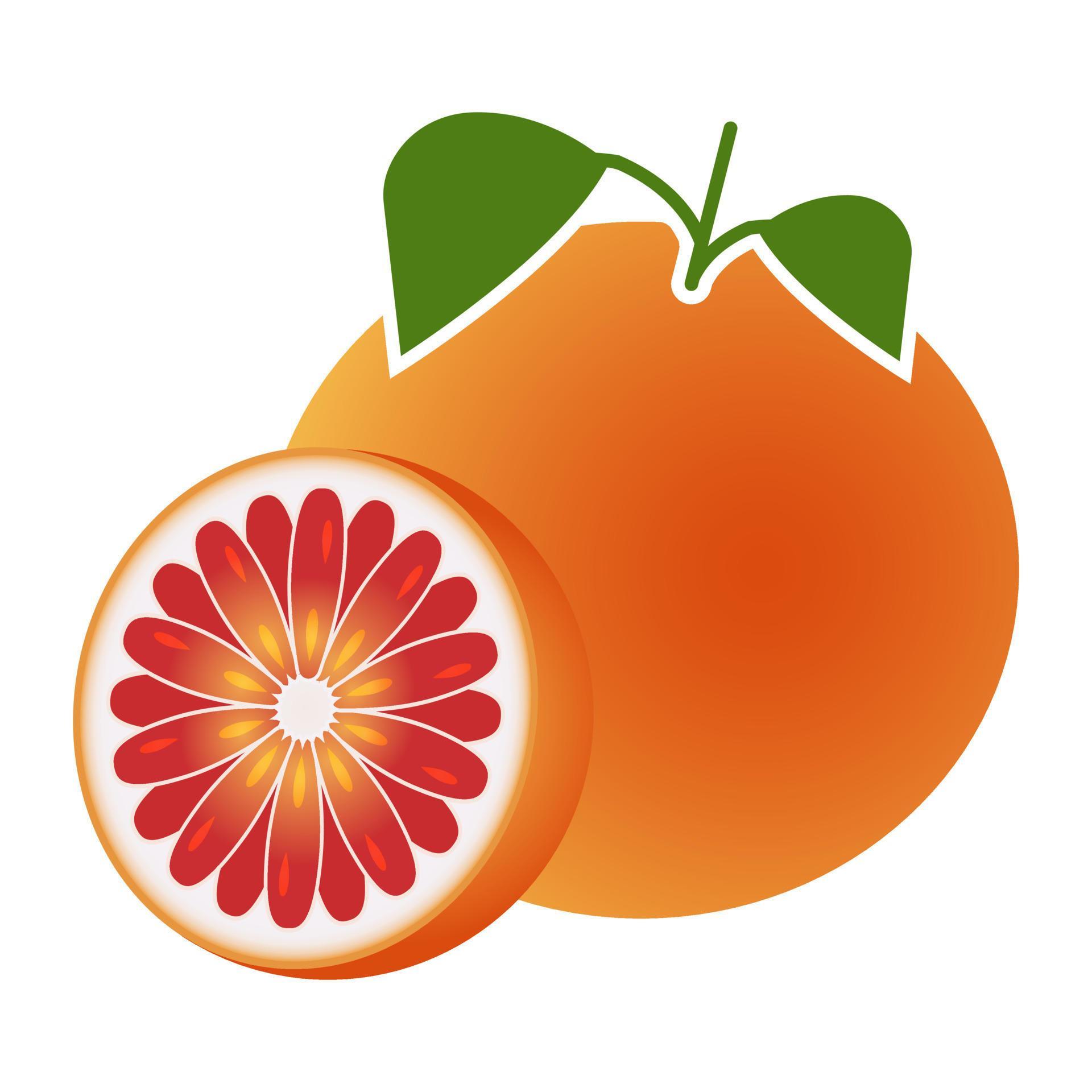 pomelo and sliced grapefruit flat color for apps and websites 10503789