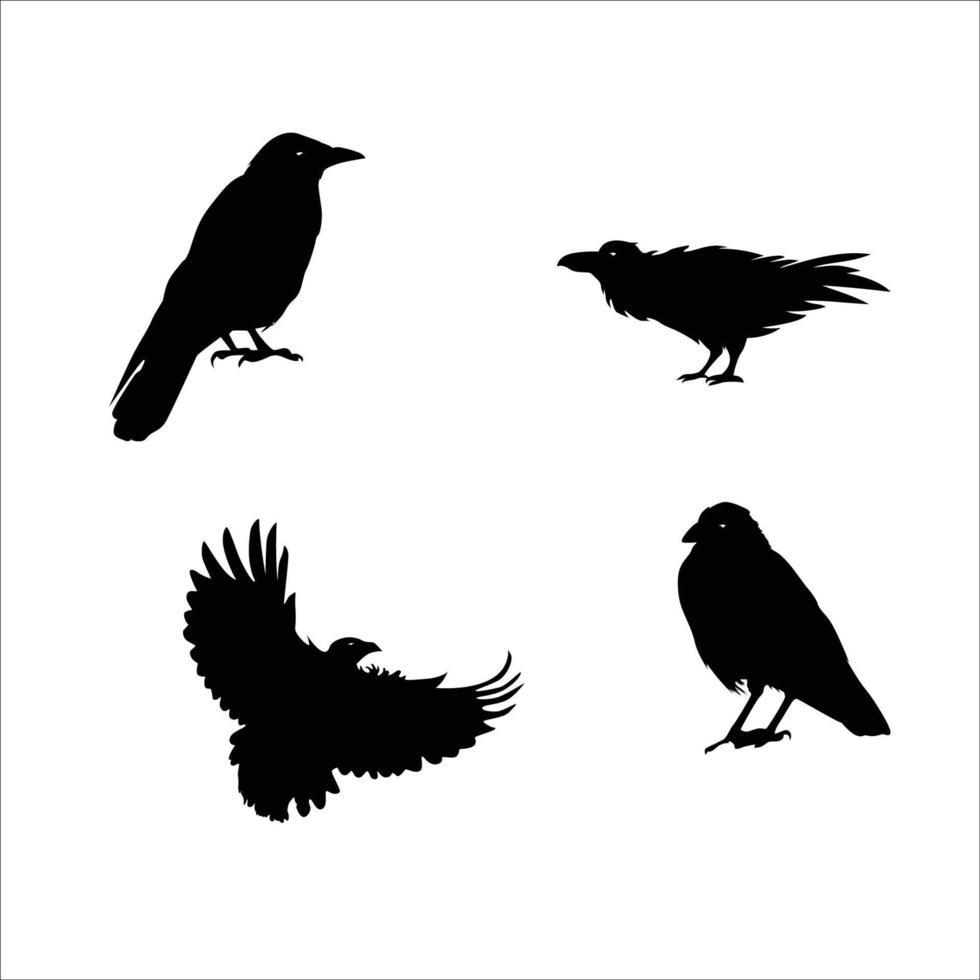 conjunto de silueta de cuervo. ilustración de vector de pájaro negro.