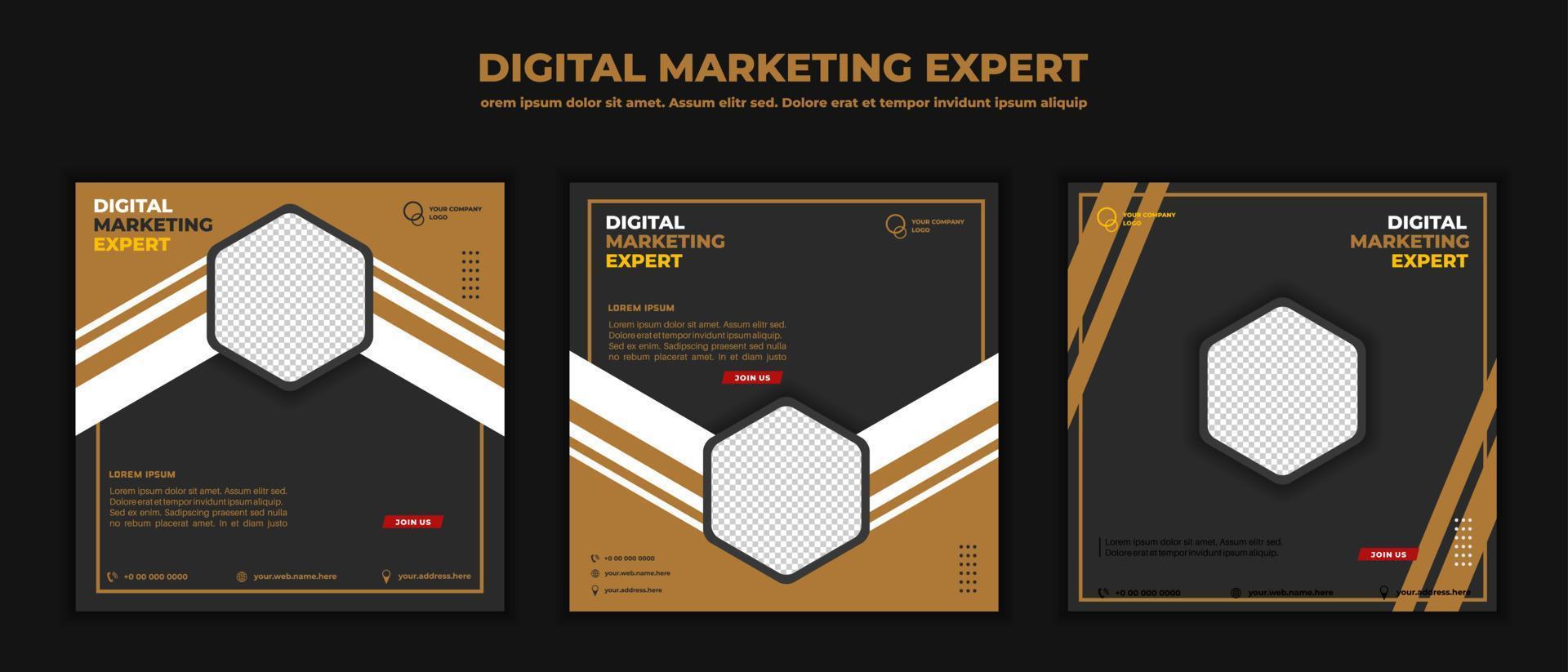 Publicación en redes sociales de seminarios web de negocios de marketing digital. ilustración vectorial y texto vector