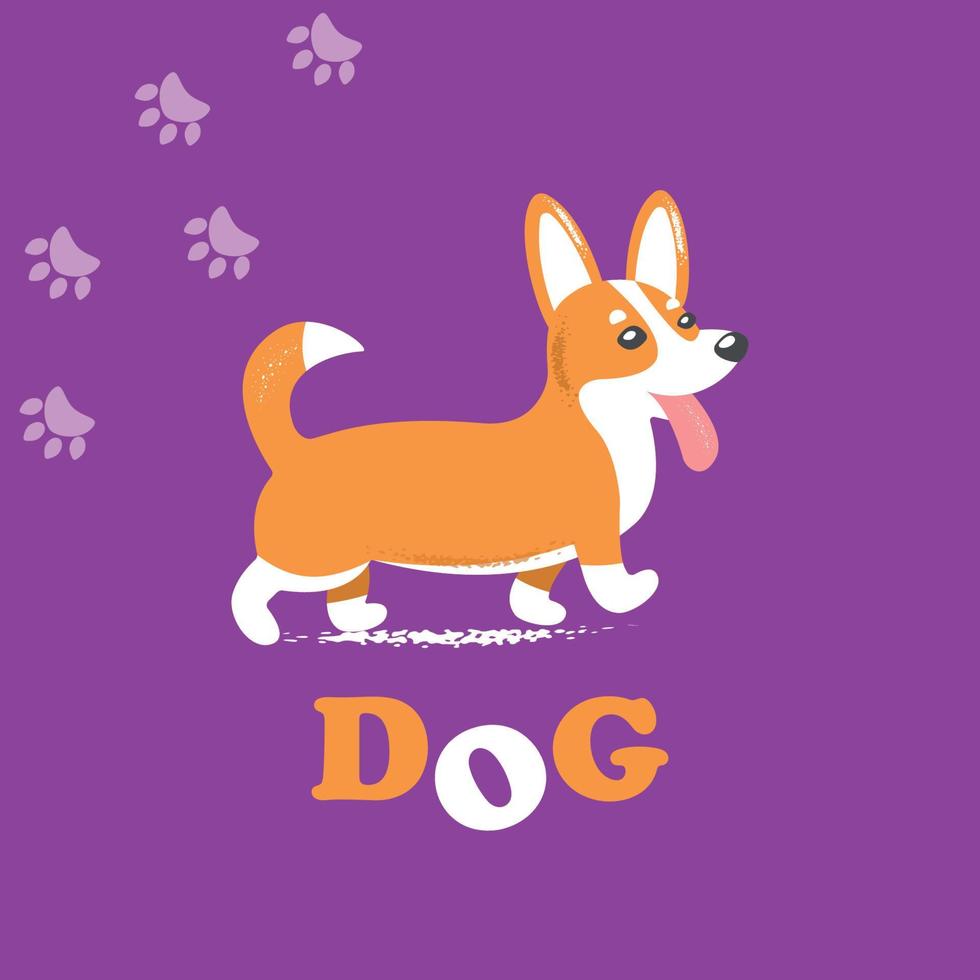 Cute vector corgi dog walks on bright background