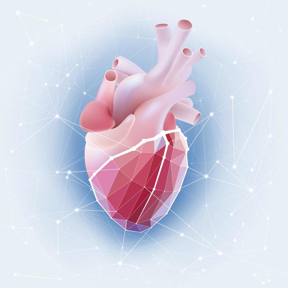 ilustración del corazón humano en un patrón de polígono mixto 3d realista. vector