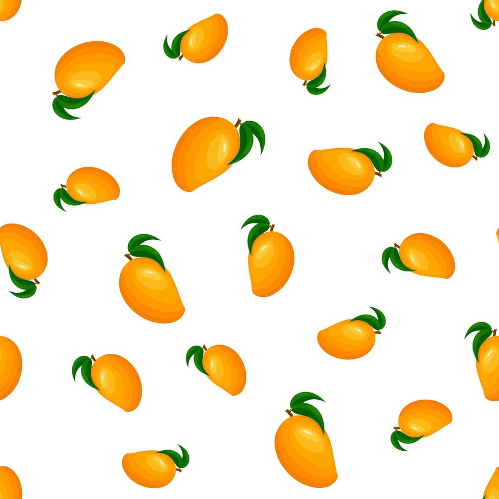 patrón sin costuras con mango entero exótico brillante fresco aislado sobre fondo blanco. frutas de verano para un estilo de vida saludable. fruta organica estilo de dibujos animados ilustración vectorial para cualquier diseño. vector