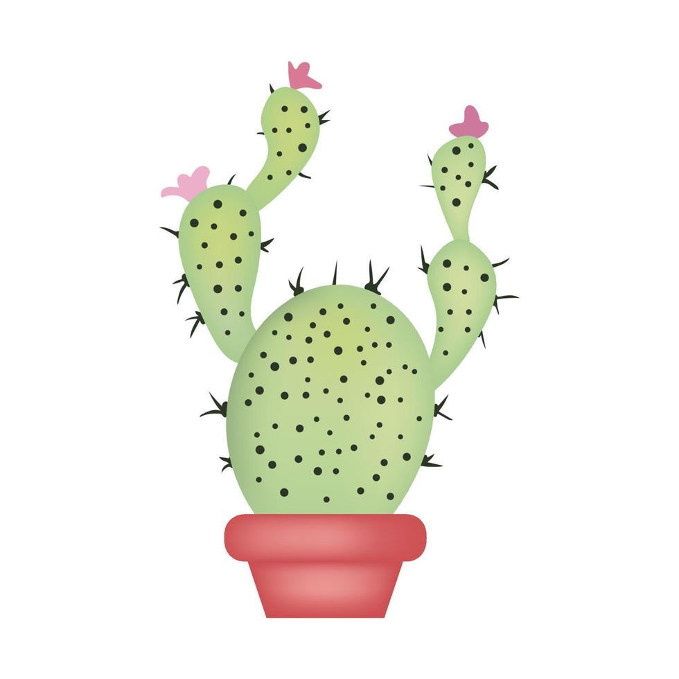 Green cactus in red pot isolated on white backgound. Vector illustration.