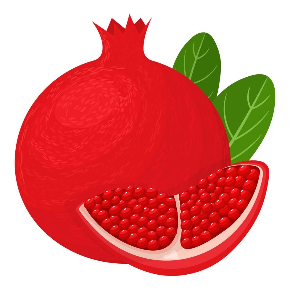 Fresh bright exotic whole and chunk pomegranate with leaves isolated on white background. Summer fruits for healthy lifestyle. Organic fruit. Cartoon style. Vector illustration for any design.