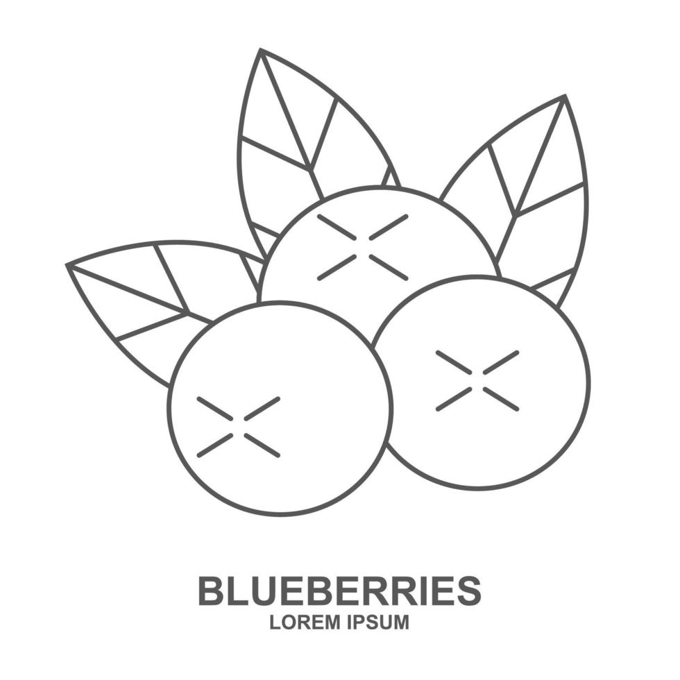 Blueberry flat line icon, forest berry sign, healthy food logo isolated on white background. Summer fruits for healthy lifestyle. Organic fruit. Vector illustration for any design.