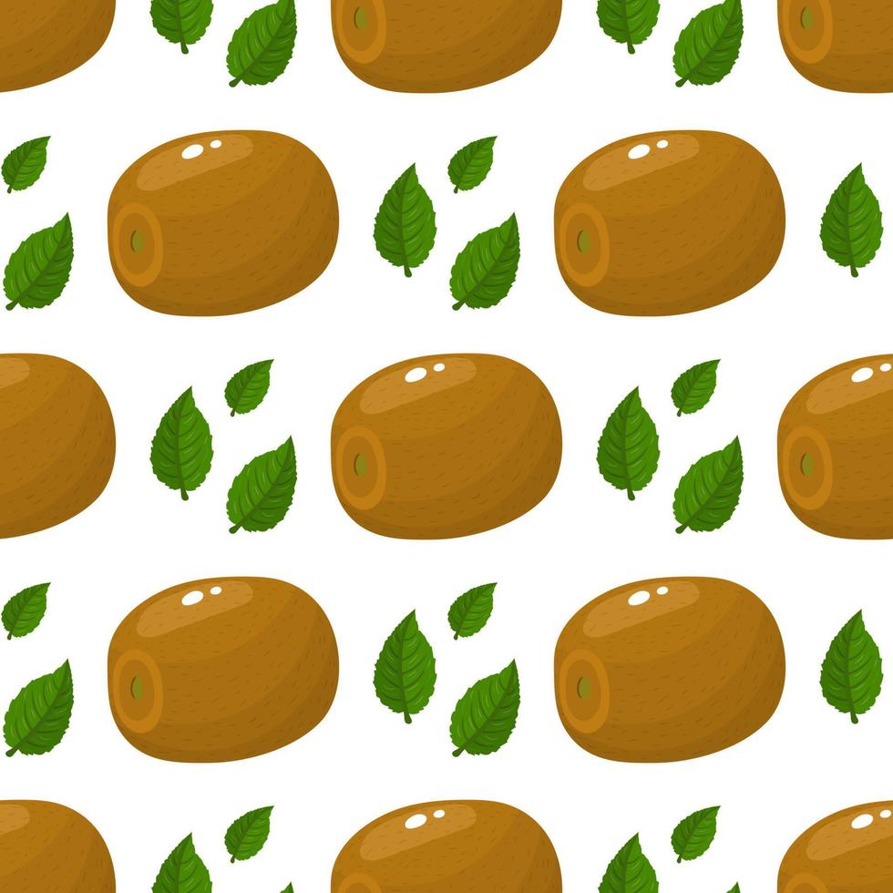 Seamless pattern with fresh whole kiwi fruit and leaves on white background. Summer fruits for healthy lifestyle. Organic fruit. Cartoon style. Vector illustration for any design.