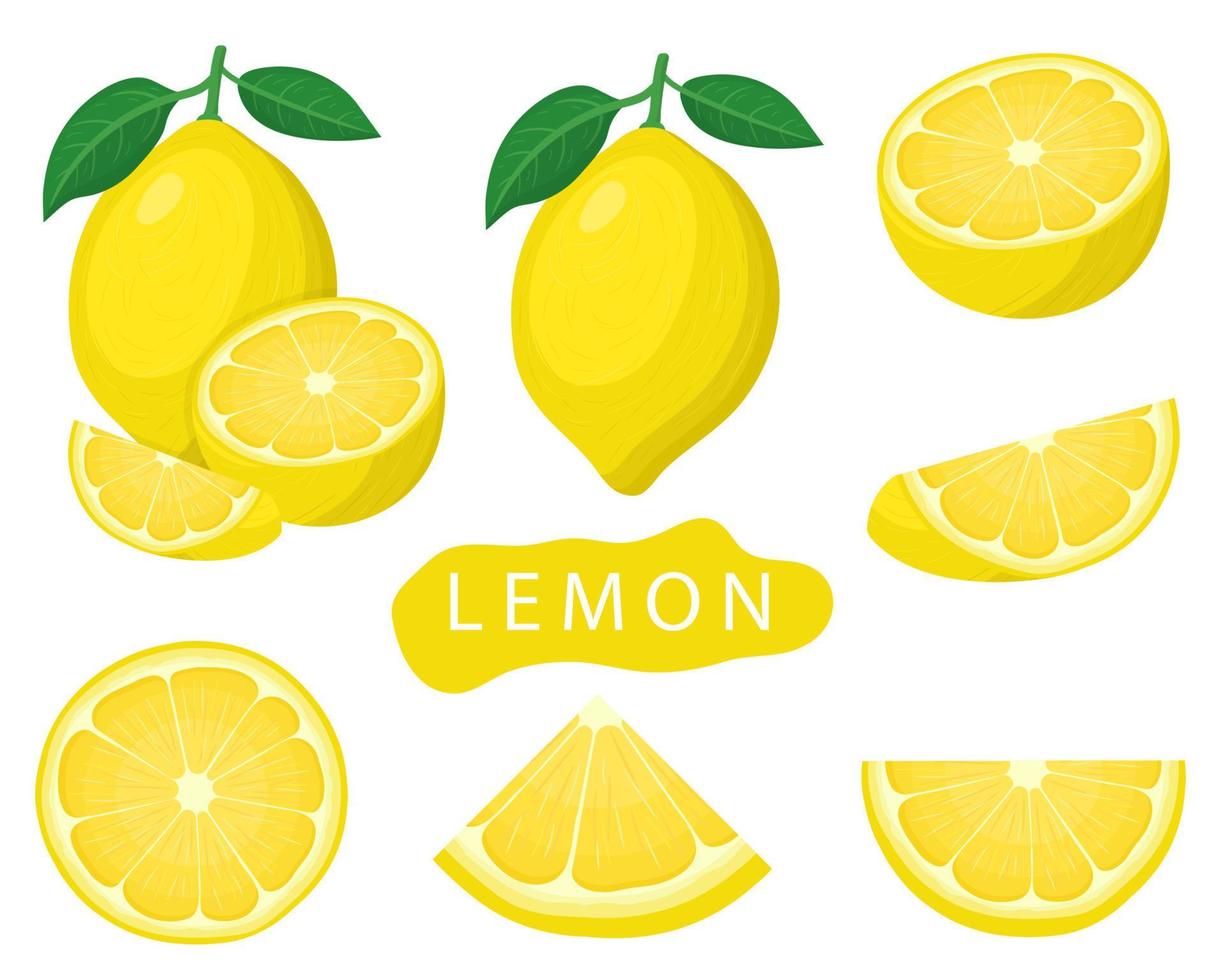 Set of fresh whole, half, cut slice lemon fruits isolated on white background. Summer fruits for healthy lifestyle. Organic fruit. Cartoon style. Vector illustration for any design.