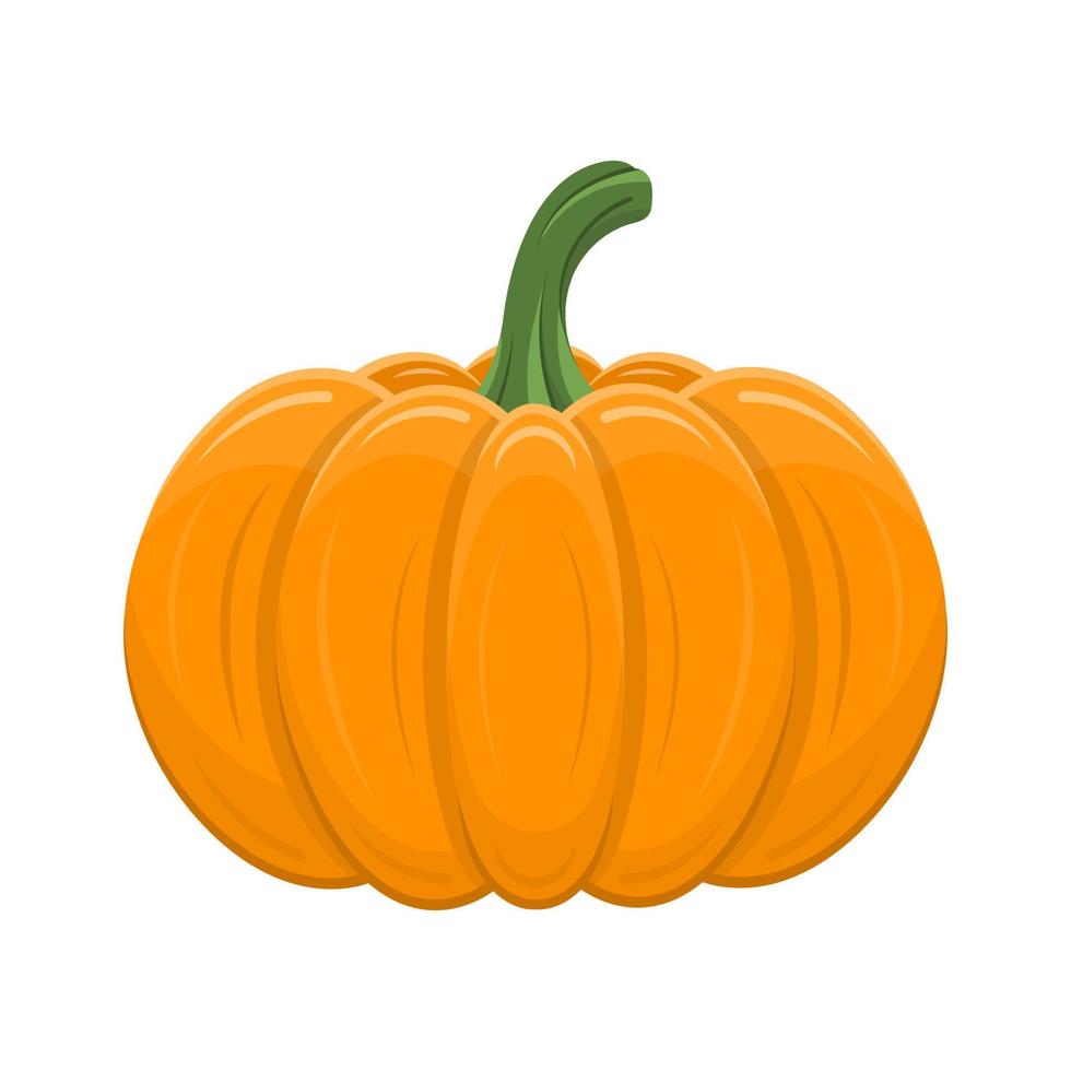 calabaza aislado sobre fondo blanco. calabaza naranja de dibujos animados para halloween, acción de gracias. vacaciones de otoño. ilustración vectorial para cualquier diseño. vector