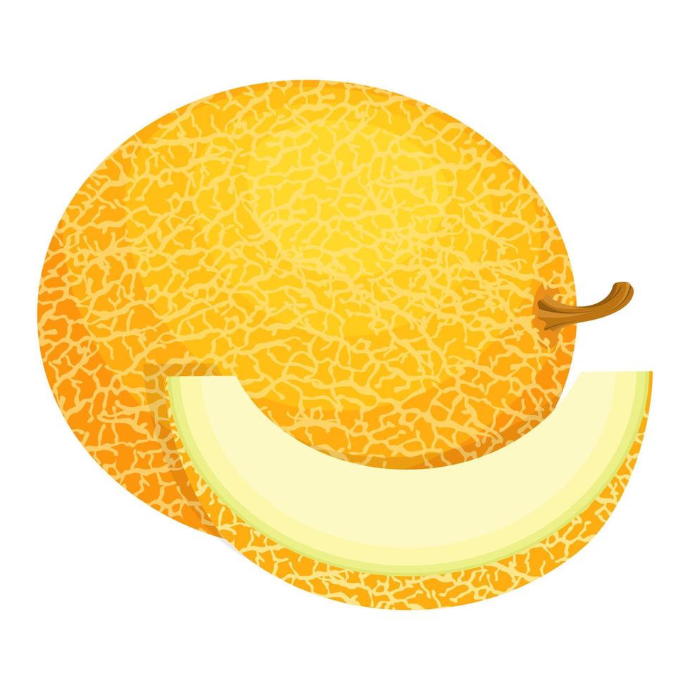 fruta de melón fresca entera y cortada en rodajas aislada sobre fondo blanco. melón dulce. frutas de verano para un estilo de vida saludable. fruta organica estilo de dibujos animados ilustración vectorial para cualquier diseño. vector