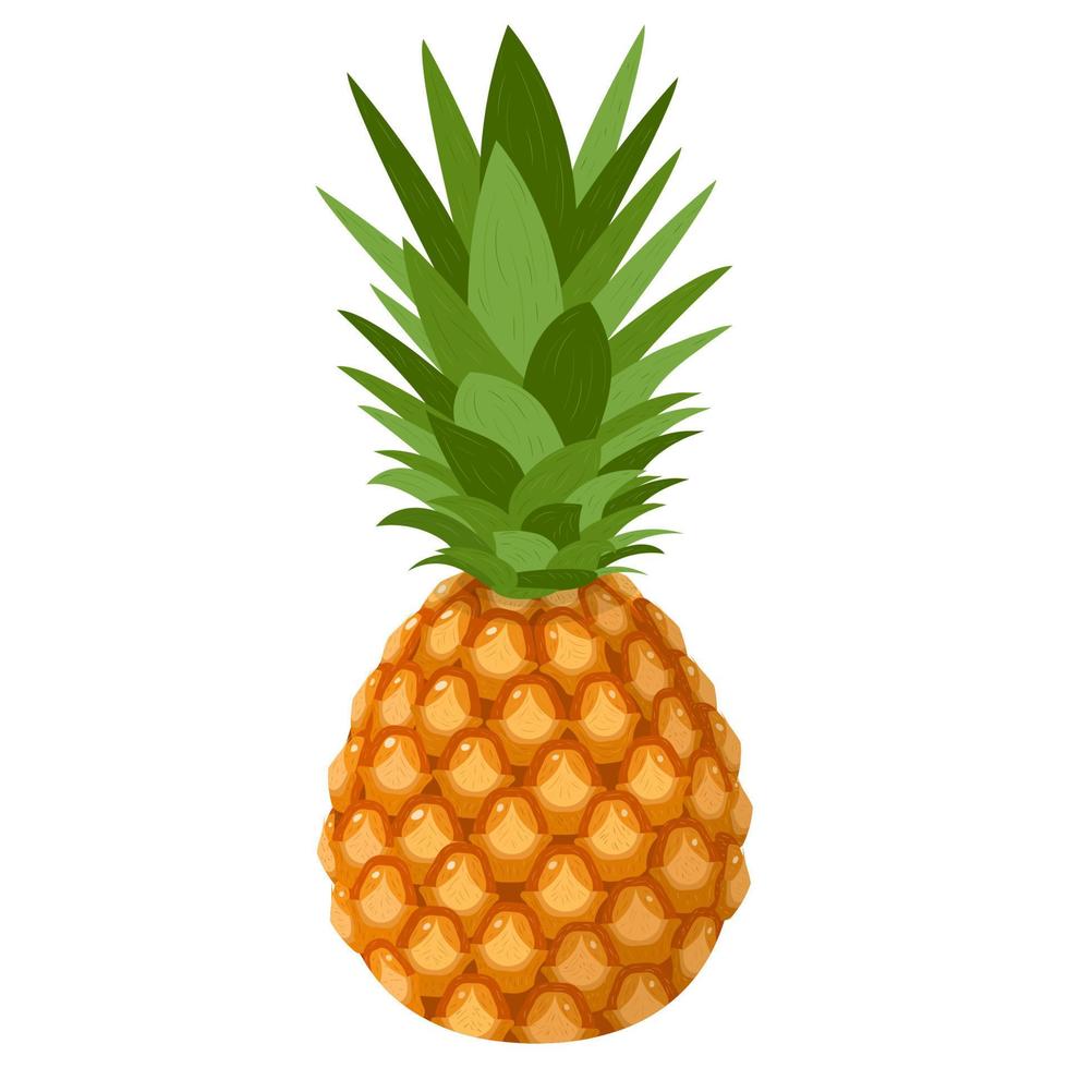 fruta fresca de piña entera aislada de fondo blanco. frutas de verano para un estilo de vida saludable. fruta organica estilo de dibujos animados ilustración vectorial para cualquier diseño. vector