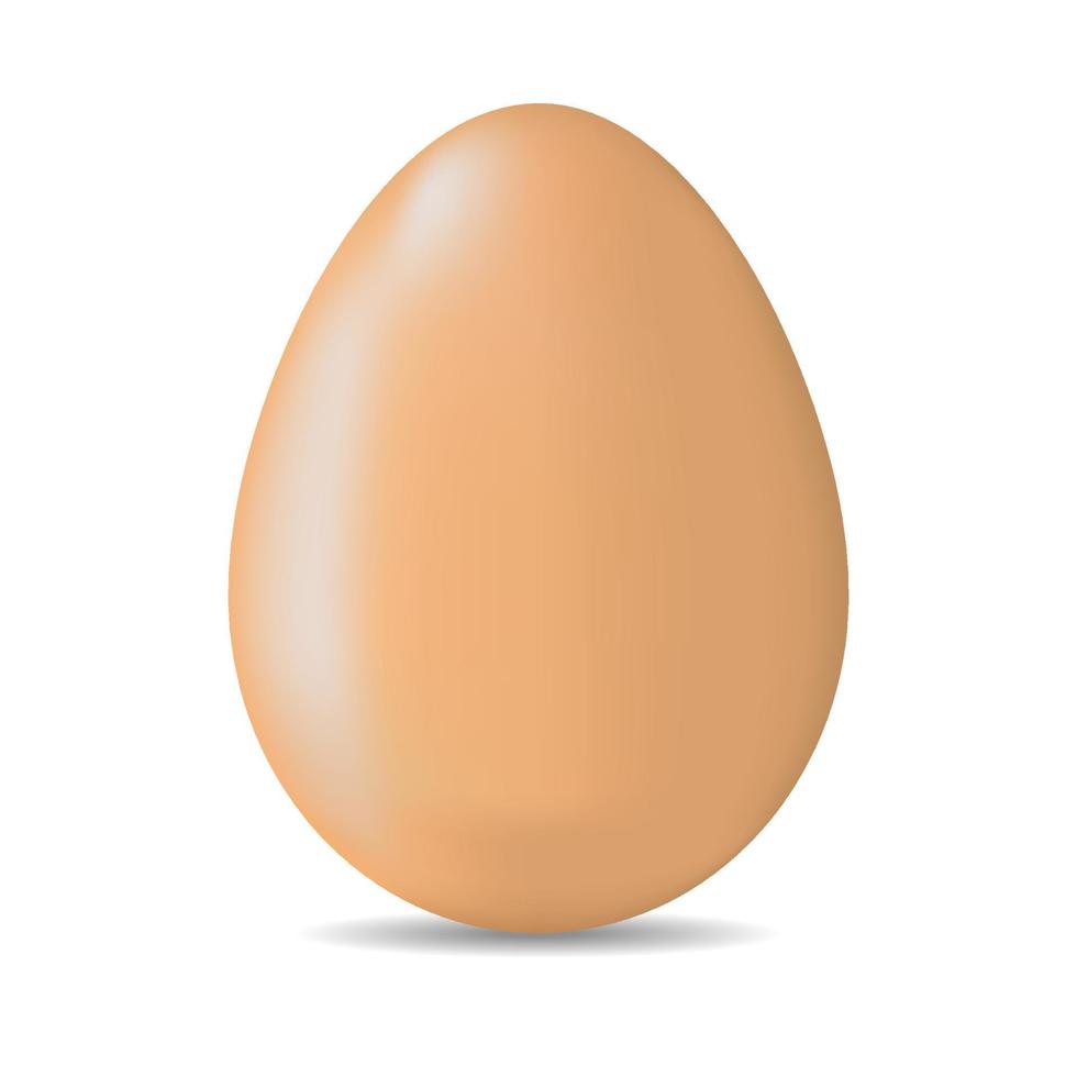 Realistic Brown Egg isolated on white background. Vector Illustration.