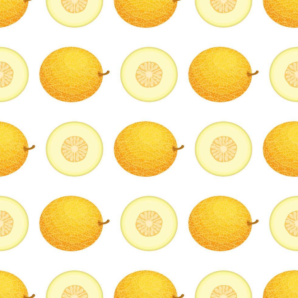 Seamless pattern with fresh whole and half melon fruit on white background. Honeydew melon. Summer fruits for healthy lifestyle. Organic fruit. Vector illustration for any design.