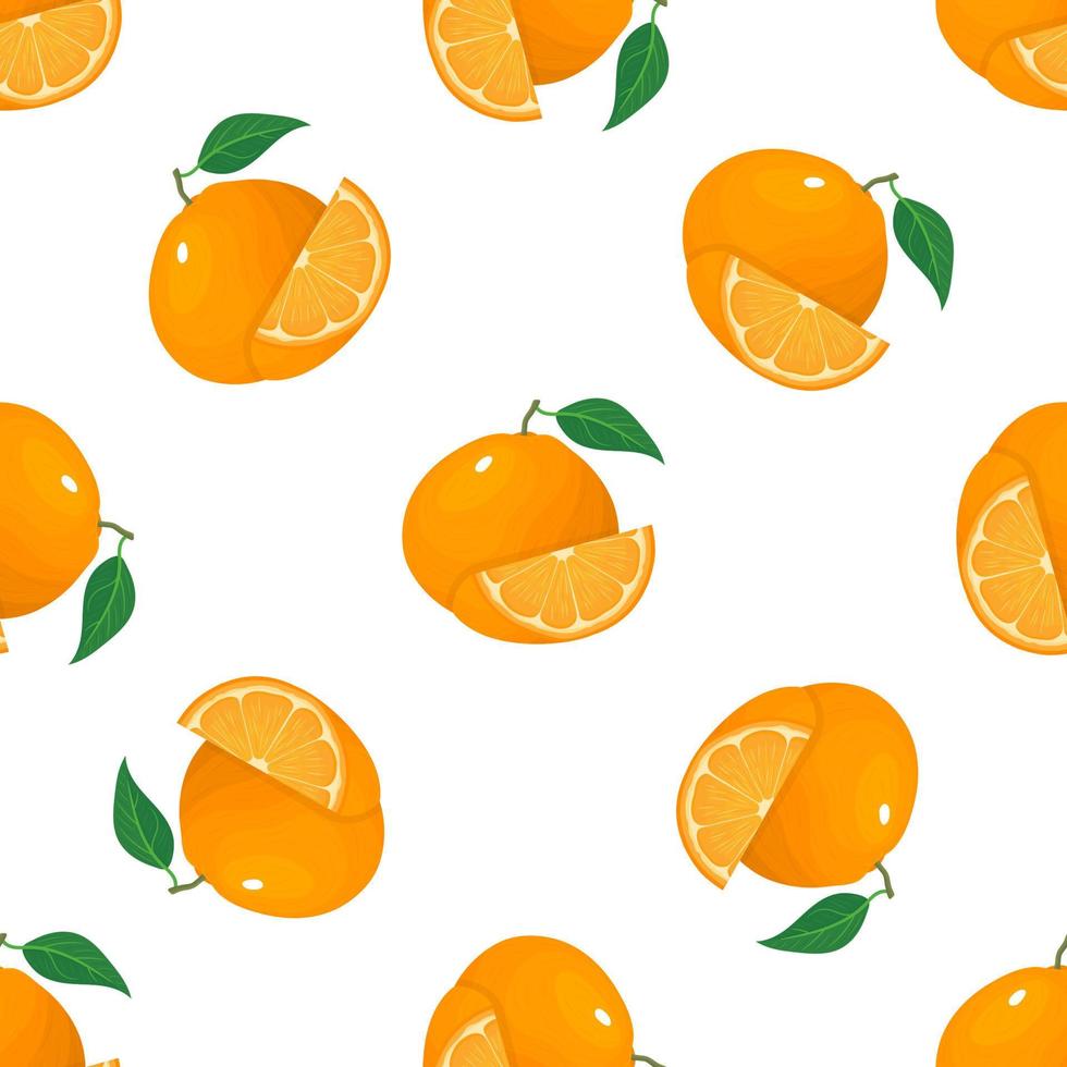 Seamless pattern with fresh bright exotic whole and slice tangerine or mandarin isolated on white background. Summer fruits for healthy lifestyle. Organic fruit. Vector illustration for any design.