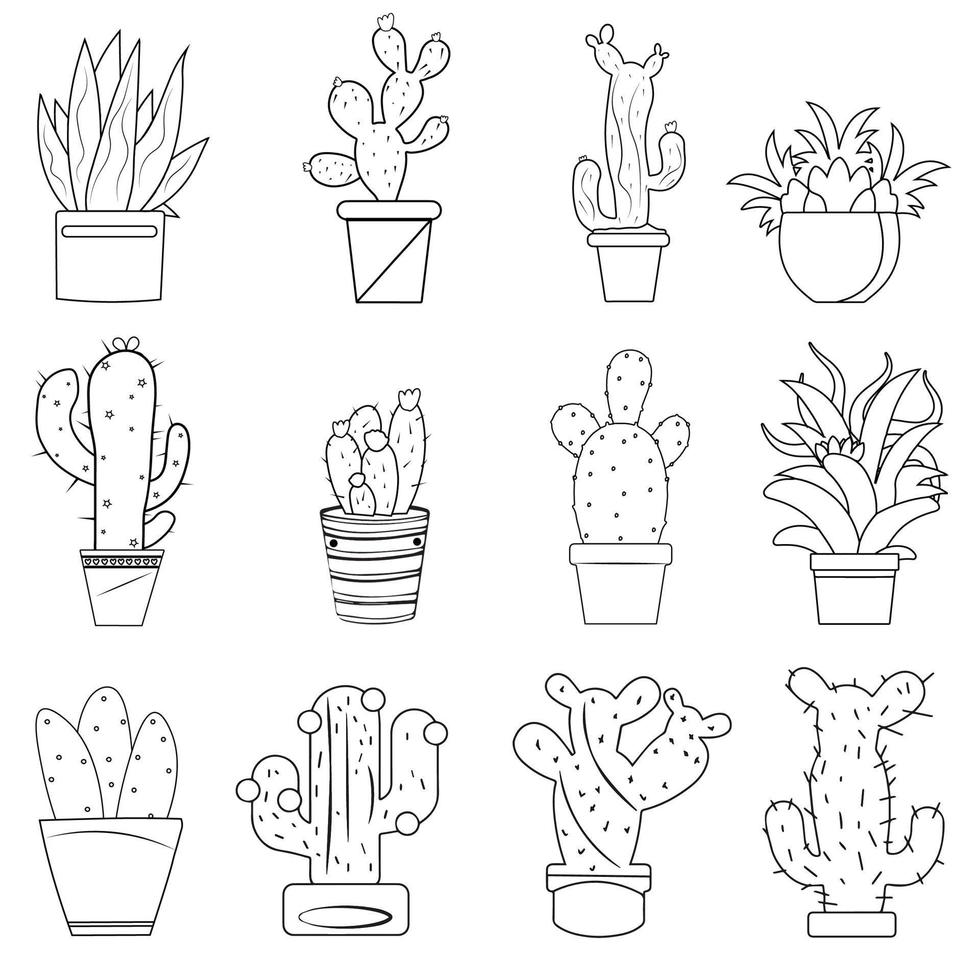 Set of Sketch hand drawn cactus coloring page and clip art. vector