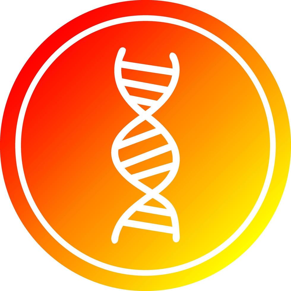 DNA chain circular in hot gradient spectrum vector