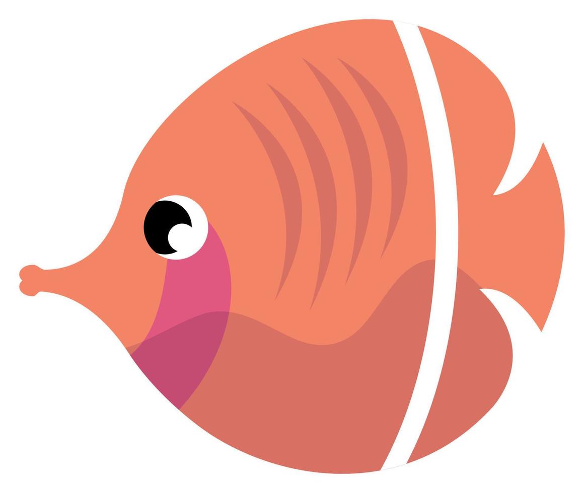 red fish sealife animal vector