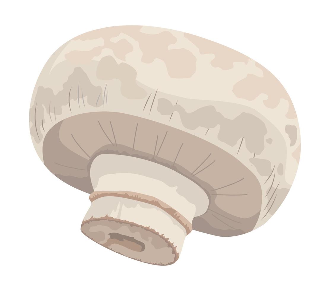 healthy mushroom vegetable vector