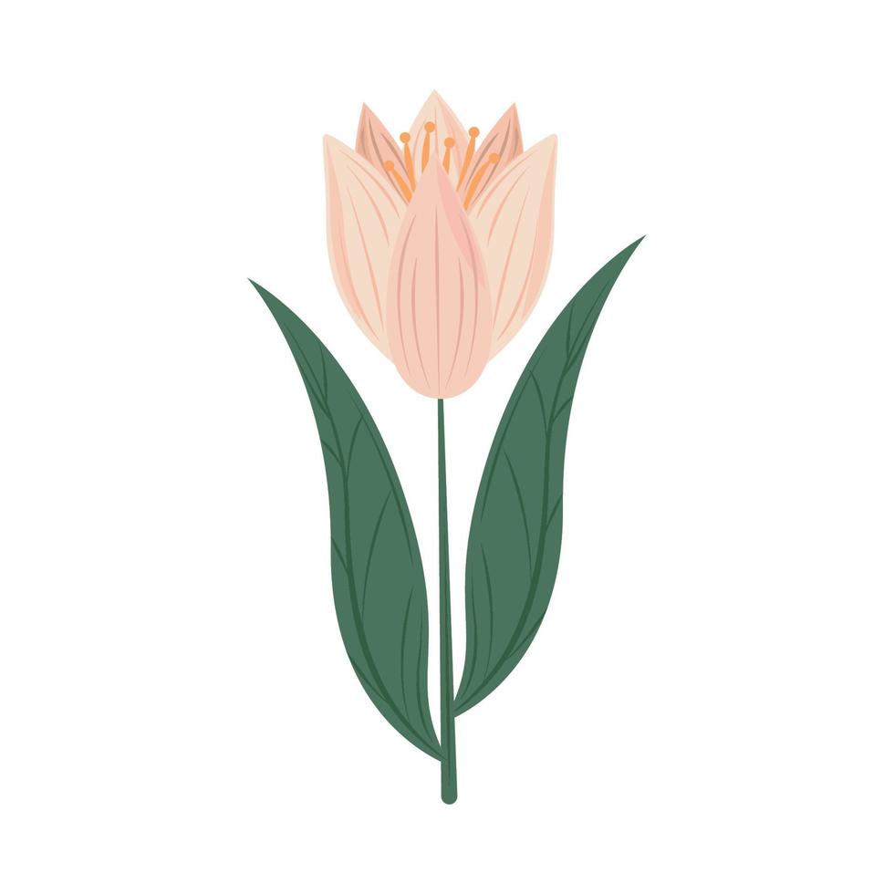flower decoration icon vector